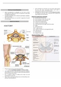 DISEASE OF SPINAL CORD-PPT notes