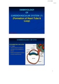 Embryology of CVS 1 Heart Tube and Heart Loop Formation Lecture notes anatomy  Clinically Oriented Anatomy, ISBN: 9780781775250