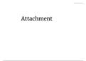 Attachments - AQA Psychology Paper 1