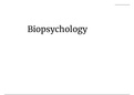 Biopsychology - AQA Psychology Paper 2