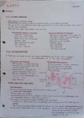 CCEA As level Biology- Cell summry notes