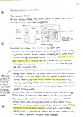 A2 1 Physics CCEA 4.8 Notes