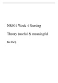 NR501 Week 4 Nursing Theory (useful & meaningful to me).pdf