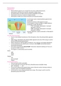 summary notes on photosynthesis