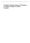 Essentials of Human Anatomy & Physiology 11th Edition by Elaine N. Marieb Test Bank