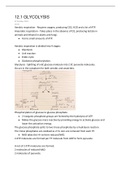 AQA A LEVEL BIOLOGY CHAPTER 12 RESPIRATION NOTES