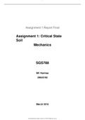 Assignment Critical State Soil