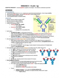 B cells & Antibody Production