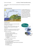 The Water Cycle and Water Insecurity