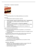 1 Gebitspathologie hypodontie en hyperdontie