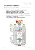 Hoofdstuk 3 Glycolyse en fermentatie Johan Van Lint metabolisme en metabole regeling