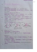 OCR A level chemistry chapter 13 Alkenes