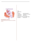 Case study, literatuurstudie (wondgenezing bevorderen bij een diabetische voetulcus) en implementatieplan (rapporteren volgens het TIME model).