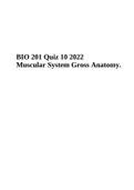 BIO 201 Quiz 10 2022 Physiology & Muscular System Gross Anatomy. 