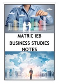 BUSINESS STUDIES SUMMARY GR12 CAPS/IEB