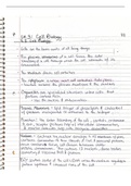 Chapter 3: Cell Biology Notes (BSC 250) 