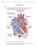 test review cardiac