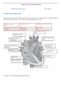 class notes for cardiac