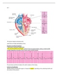 notes from cardiac 