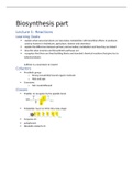 Organic and Biosynthesis summary ( Gigga summariezed) for second year pharmacy students RuG