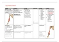 Samenvatting: Spieren van de boven- en onderarm + van de hand- functionele anatomie Tom van Hoof