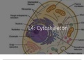 4BBY1030 Cell Biology and Neuroscience (CYO) all structures and concepts.