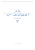 Unit 1 Assignment 1 - Exploring Business  BTEC Business (Distinction Grade)