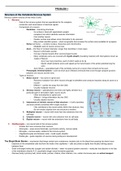 Summary course 1.4 Human Body 