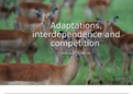 AQA GCSE Triple Biology: Adaptations, interdependence and competition