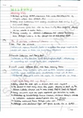 KS3 Tudor & Early Stuart History Notes