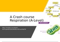 A Crash Course in Respiration 