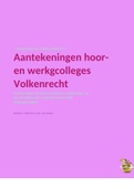 Volkenrecht (R_VolkR) - hoor- en werkcollege aantekeningen + schrijfopdrachten