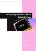 Voorbeeld organisatieanalyse Organisatieontdekker