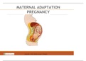 MATERNAL ADAPTATION TO PREGNANCY