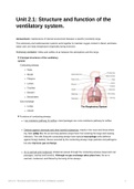 IB Sports Exercise Health Science Summary. Unit 2.1: structure and function of the ventilatory system. 