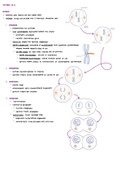 MCAT Cells and Development