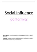 Social Influence full consolidation notes