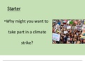 Climate strike lesson