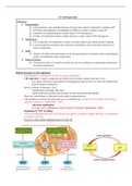IB Biology HL 2.8 Cell Respiration Notes