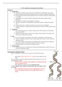 IB Biology HL 2.7 DNA replication, transcription and translation Notes