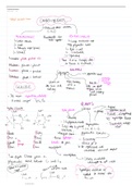 A Level Biology Carbohydrates Notes