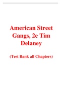 American Street Gangs, 2e Tim Delaney (Test Bank)