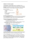 Samenvatting Biologie hoofdstuk 19 Hormonale regulatie van 10VoorBiologie