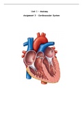Anatomy: Cardiovascular System Assignment Exemplar