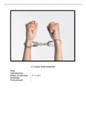 Toets verslag 3.5 Aanpak Jeugdcriminaliteit HBO Social Work Cijfer 9!!