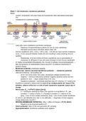 Cellular and molecular notes