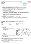 WJEC (England) Eduqas A-Level Biology CORE CONCEPTS BUNDLE - A* Grade notes