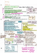 Edexcel A Level Biology A (Salters-Nuffield) Summary Notes written by A* student