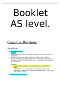 Summary of the cognitive  approaches and a brief overview of CBT therapy