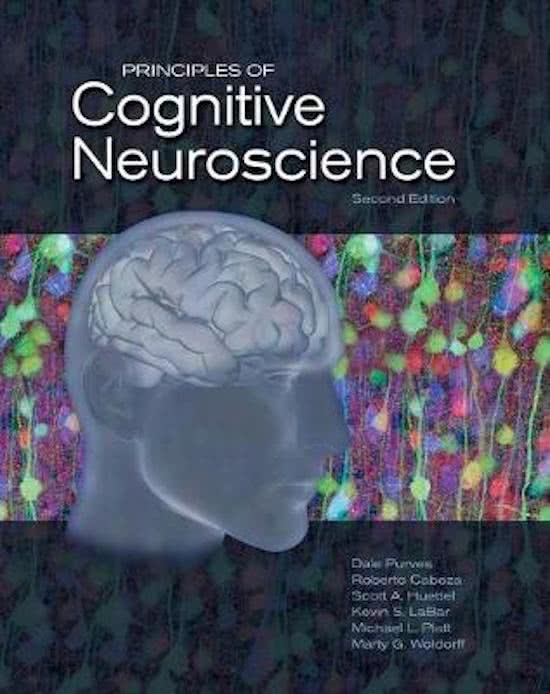 Samenvatting Cognitive Neuroscience Hoofdstuk 1 t/m 7 